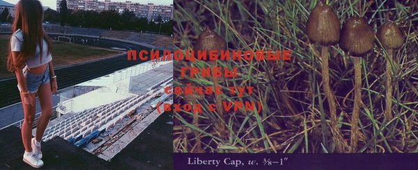 спиды Дмитриев