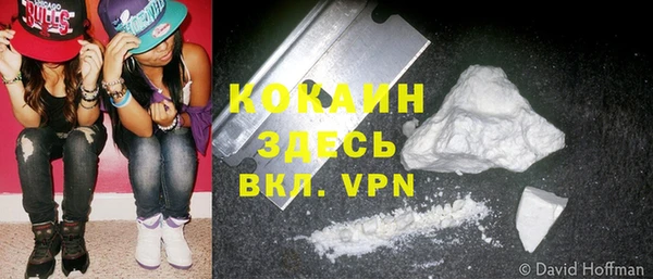 спиды Дмитриев