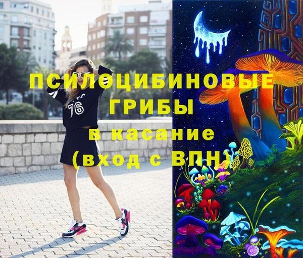 спиды Дмитриев