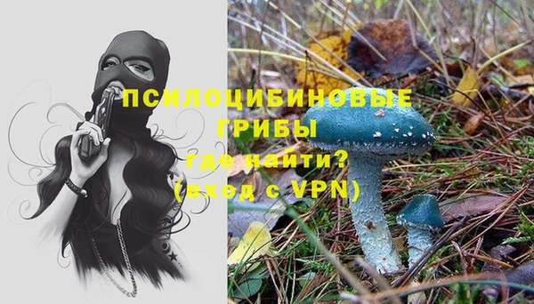 дурь Дмитров
