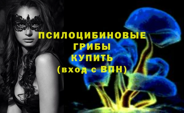PSILOCYBIN Дмитровск