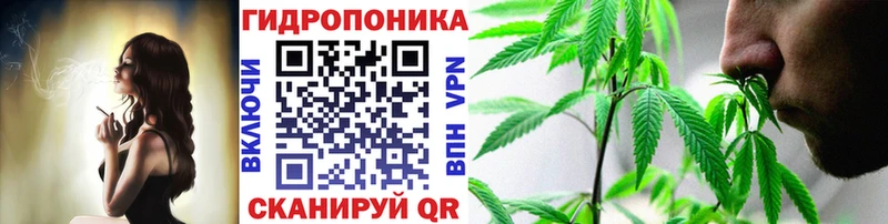 Марихуана семена  даркнет сайт  Зерноград 